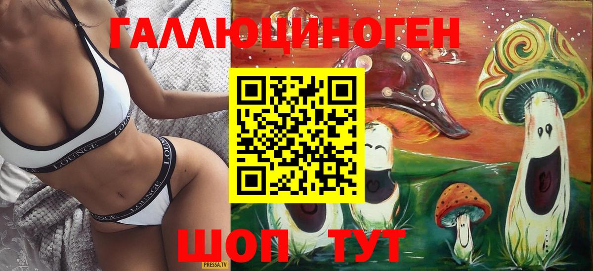 Галлюциногенные грибы GOLDEN TEACHER  Вход с VPN  Нальчик 